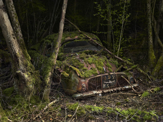 Illustration for article titled Photos of the abandoned antique cars nature has reclaimed